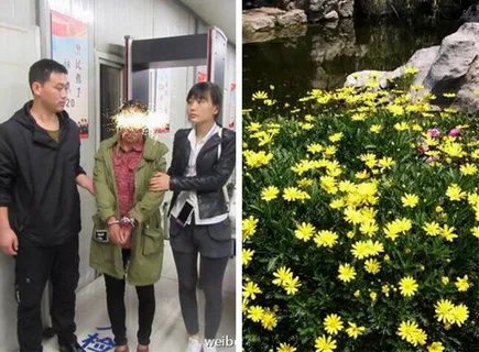 迪士尼现采花贼 夫妻俩一人工作一人放风