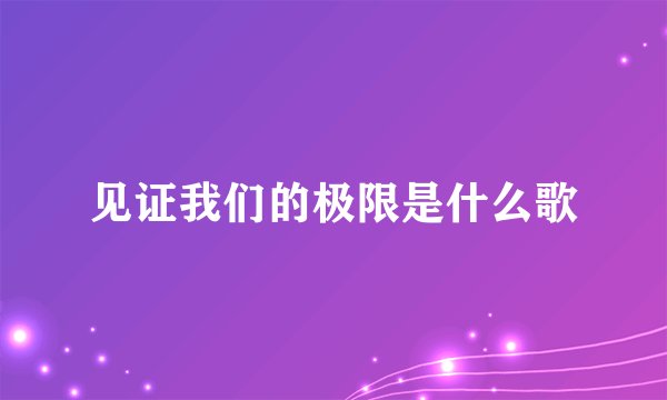 见证我们的极限是什么歌