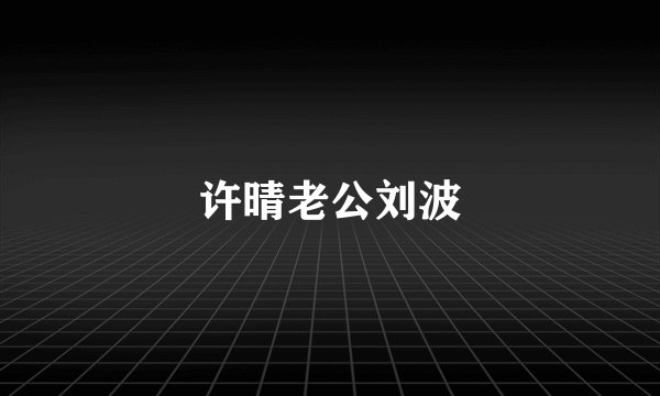 许晴老公刘波