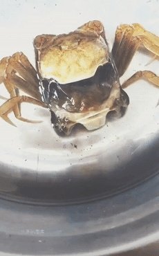 男朋友家房间开暖气了 得脱外套了