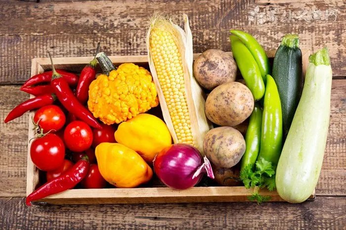 红玫瑰蜘蛛有毒吗 红玫瑰蜘蛛的毒性很低