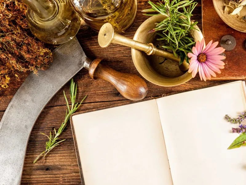 花茶原料有哪些