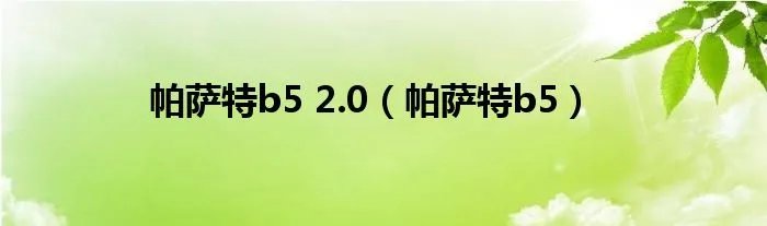 帕萨特b5 2.0（帕萨特b5）