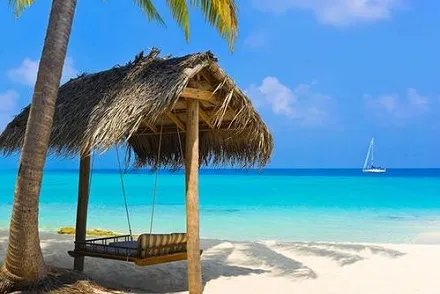 六爻排盘方法有哪些？六爻排盘方法一览表！