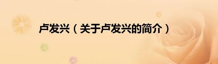 卢发兴（关于卢发兴的简介）