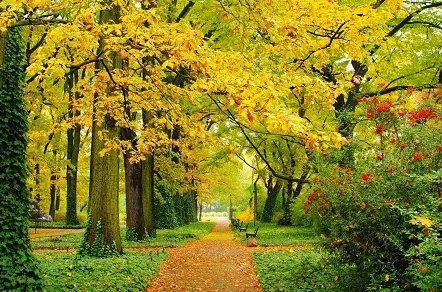 六爻排盘方法有哪些？六爻排盘方法一览表！