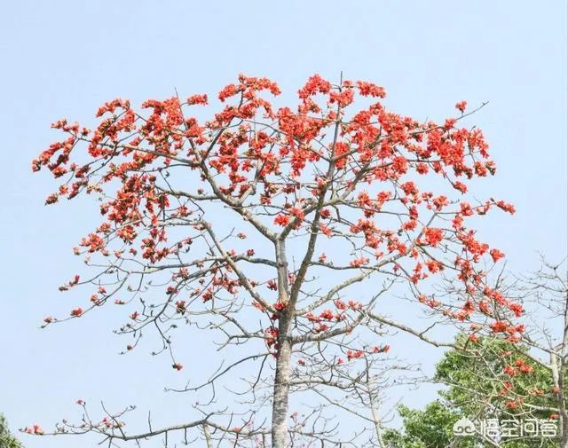 如何评价电影《沦落人》?