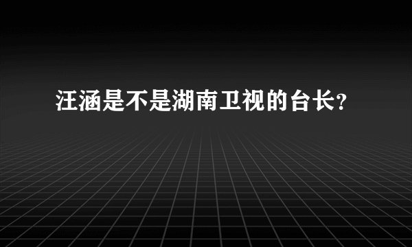 汪涵是不是湖南卫视的台长？