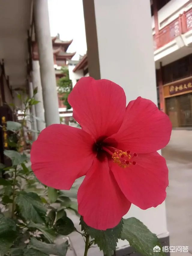 马蓉退出王宝强公司宝亿嵘投资,你怎么看?