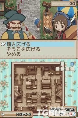 NDS《牧场物语:风之集会》攻略参考资料