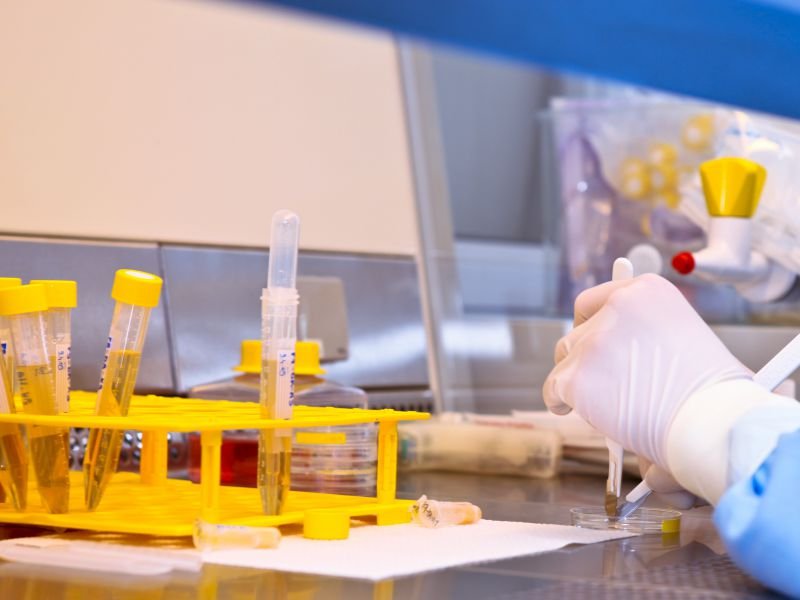 亲子鉴定的原理