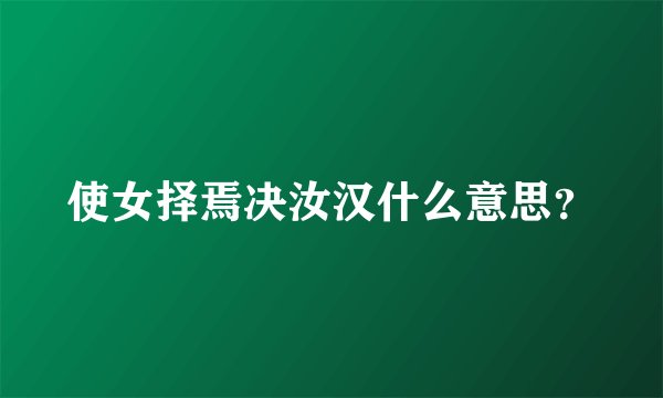 使女择焉决汝汉什么意思？