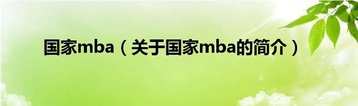 国家mba（关于国家mba的简介）