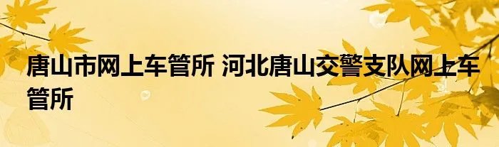 唐山市网上车管所 河北唐山交警支队网上车管所