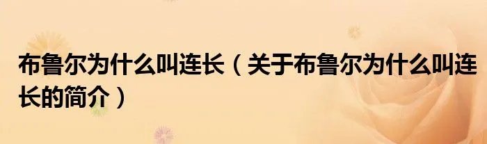 布鲁尔为什么叫连长（关于布鲁尔为什么叫连长的简介）