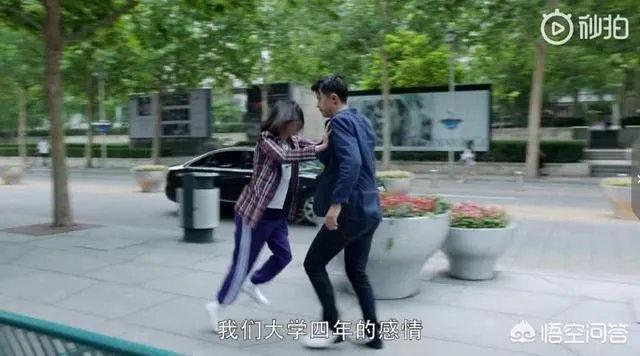 郑爽新剧《青春斗》已经定档，这部新剧都有哪些看点呢？