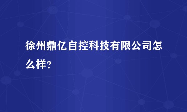 徐州鼎亿自控科技有限公司怎么样？