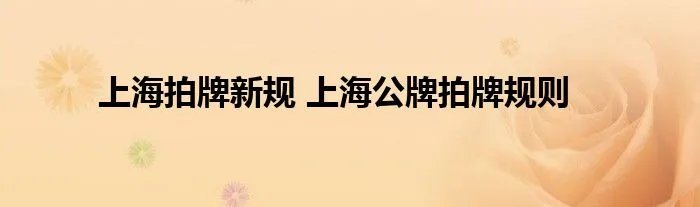 上海拍牌新规 上海公牌拍牌规则