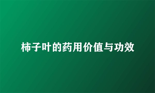 柿子叶的药用价值与功效