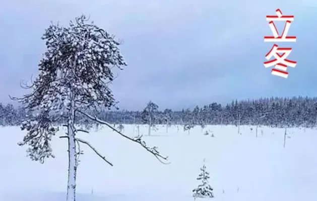 今冬冷冬概率为零:这究竟是什么情况?