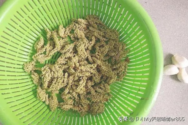 棕树花苞吃法大全