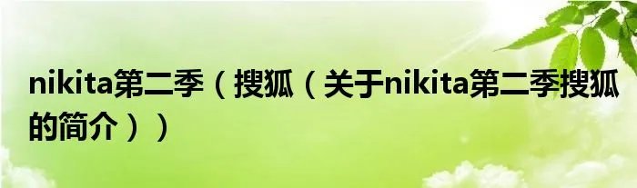 nikita第二季（搜狐（关于nikita第二季搜狐的简介））