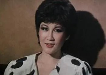 丁佩个人资料和图片:丁佩年轻时图片