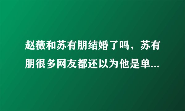 赵薇和苏有朋结婚了吗,苏有朋很多网友都还以为他是单身状态-飞外网