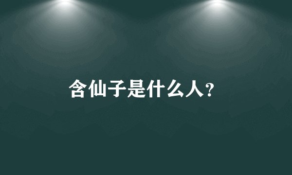 含仙子是什么人？