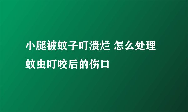 小腿被蚊子叮溃烂 怎么处理蚊虫叮咬后的伤口