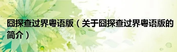 囧探查过界粤语版（关于囧探查过界粤语版的简介）