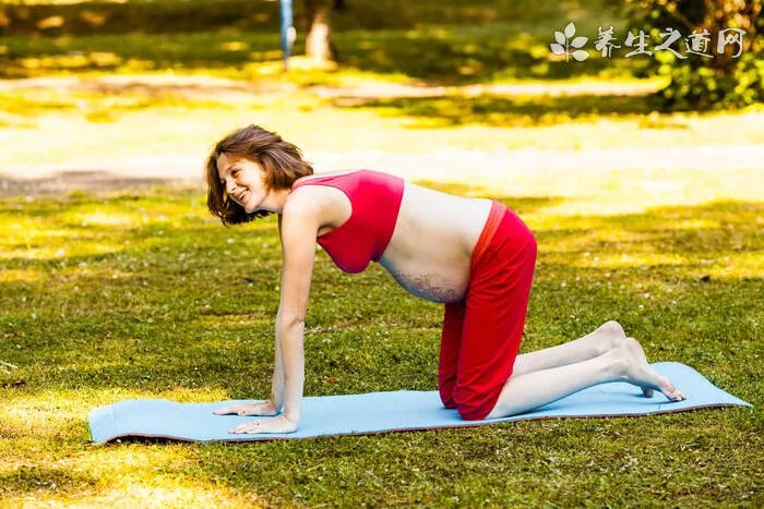 沙棘果提取物的作用