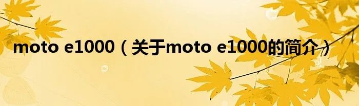 moto e1000（关于moto e1000的简介）