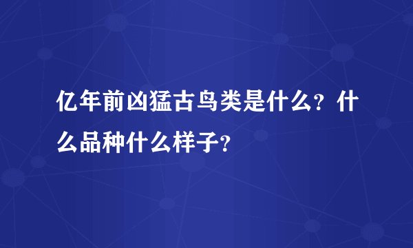 亿年前凶猛古鸟类是什么？什么品种什么样子？