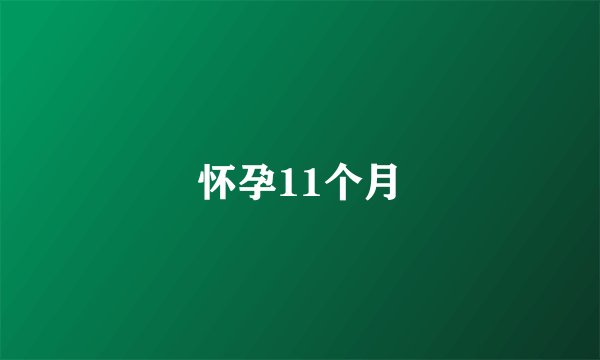 怀孕11个月
