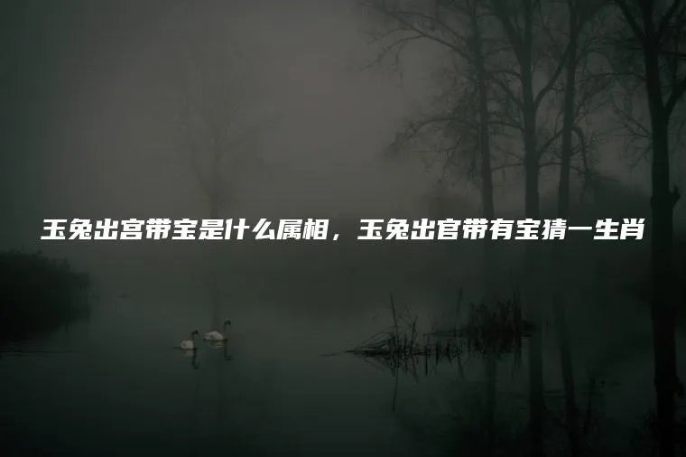 玉兔出宫带宝是什么属相，玉兔出官带有宝猜一生肖
