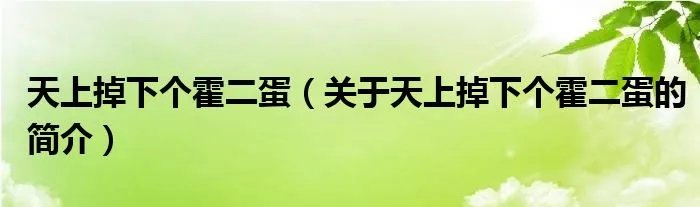 天上掉下个霍二蛋（关于天上掉下个霍二蛋的简介）