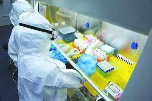 南美冻虾检出新冠只是谣言吗?