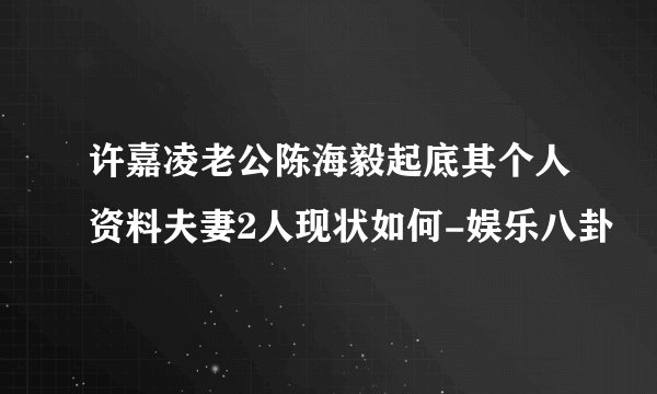 许嘉凌老公陈海毅起底其个人资料夫妻2人现状如何-娱乐八卦