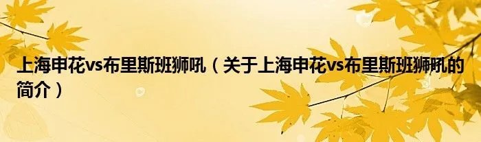 上海申花vs布里斯班狮吼（关于上海申花vs布里斯班狮吼的简介）