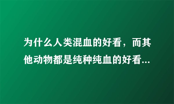 为什么人类混血的好看，而其他动物都是纯种纯血的好看？例如猫狗