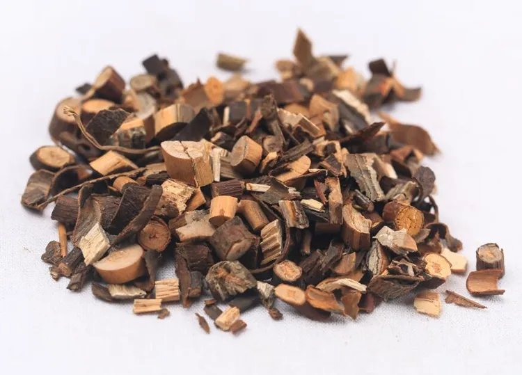 川桂枝的功效与作用