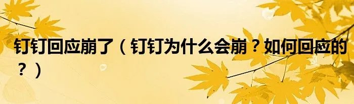 钉钉回应崩了(钉钉为什么会崩?如何回应的?)