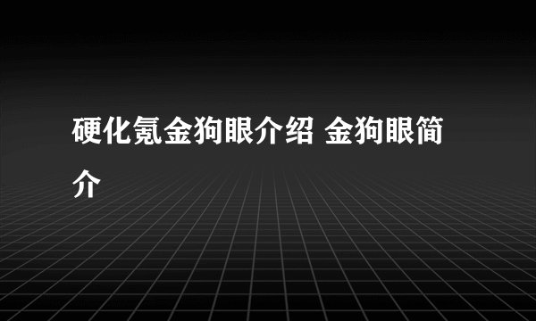 硬化氪金狗眼介绍 金狗眼简介