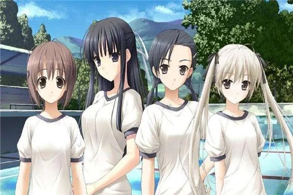 每集都开车的动漫有哪些 这些动漫都少儿不宜（禁看）