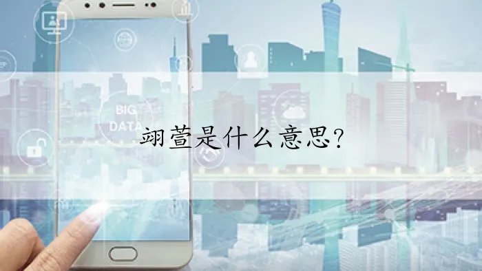 翊萱是什么意思？