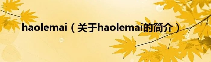 haolemai(关于haolemai的简介)