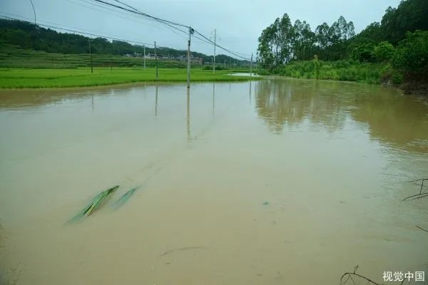 23年前洪水中抱树女孩成为警察，当年到底发生了什么？