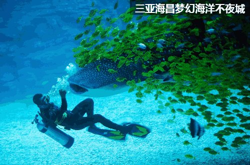 海昌不夜城有哪些项目？有适合全家玩的么？