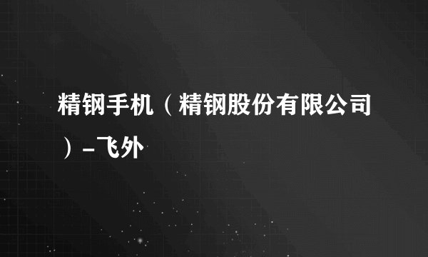 精钢手机（精钢股份有限公司）-飞外